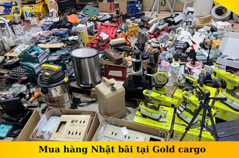 mua-hang-nhat-bai-tai-gold-cargo.jpg